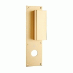POIGNÉE PALIÈRE ALUMINIUM TYPE BASTILLE 70X250MM CHAMPAGNE  TROU DE 30 - HERACLES - I-231102TR30
