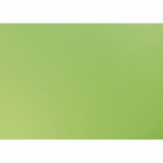 CARTA, PAQUET DE 25 FEUILLES 270G/M² SOUS/FILM AU FORMAT 50X65CM - VERT POMME - LOT DE 2