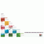 LOT DE 2 - SOUS-MAINS PAPIER PERPÉTUEL COLORÉ - 25 FEUILLES ENCOLLÉES - 38,5 X 54 CM