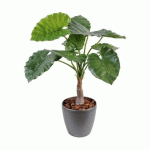 PLANTE ARTIFICIELLE D