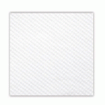 SERVIETTE ECOLABEL 1 PLI 20 G/M² 30X30 CM TISSU BLANC (VENDU PAR 2400)