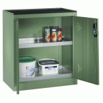 ARMOIRE BASSE PHYTOSANITAIRE 1 PORTE RAL 6011 - CP