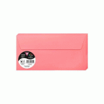 LOT DE 2 - PAQUET DE 20 ENVELOPPES POLLEN 110X220MM 120G/M2 - LITCHI