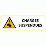 LOT DE 2 - SIGNALÉTIQUE DE DANGER - PICTO CHARGES SUSPENDUES - W015 - ISO 7010 - 297 X 105 MM - PVC