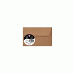 LOT DE 10 - SACHET DE 5 ENVELOPPES POLLEN 90X140, KRAFT 120G/M2 - KRAFT