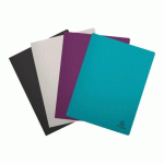 LOT DE 12 - PROTÈGE-DOCUMENTS SEMI-RIGIDE EN PP RECYCLÉ 80 VUES TITANE - COULEURS ASSORTIES