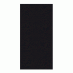 SERVIETTE DOUBLE POINT ECOLABEL PLIAGE 1/8 18 G/M² 40X40 CM TISSU NOIR (VENDU PAR 600)