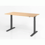 BUREAU ASSIS-DEBOUT SÉRIE XMKA-160X80CM-CHÊNE-GRAPHITE - HAMMERBACHER