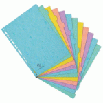 LOT DE 15 - INTERCALAIRES CARTE LUSTRÉE 400G/M2 AQUAREL 12 POSITIONS - A4 - COULEURS ASSORTIES