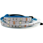SYSLED - RUBAN PROFESSIONNEL 12V EN 5050 - 30 LEDS/M - 5 MÈTRES RGB EN IP20