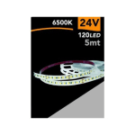 TRADE SHOP TRAESIO - 2835 LED STRIP 5 MT 24V 120 LED SMD LIGHT 3000K 4000K 6500K 2835-24V-5MM -BLANC FROID- - BLANC FROID