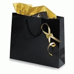 SAC PELLICULÉ BRILLANT NOIR  30X25X10 CM