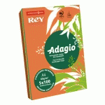 PAPIER A4 COULEUR 80 G REY ADAGIO COULEURS INTENSES ASSORTIES - RAMETTE DE 5 X 100 FEUILLES