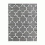 TAPIS EXTÉRIEUR EN PLASTIQUE TRESSÉ - 120 X 160 CM - ANTHRACITE - RÉVERSIBLE - 400GR/M2 - ST RAPHAEL AVRIL PARIS