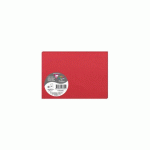 LOT DE 10 - SACHET DE 5 CARTES PLIÉES POLLEN 110X155 210G/M2 - ROUGE GROSEILLE
