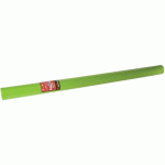 NAPPE JETABLE NON TISSÉ SPUNBOND - ROULEAU 1.20 X 10 M VERTPOMME - COGIR