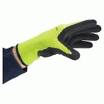 GANTS DE MANUTENTION ANTI-FROID APOLLON WINTER DELTA PLUS TAILLE 10