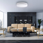TEMAR LIGHTING PLAFONNIER CLEO BLANC AVEC DIFFUSEUR, Ø 60 CM