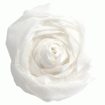 LOT DE 2 - PAPIER CRÉPON, PAQUET DE 10 FEUILLES PLIÉES 60% AU FORMAT 2,50X0,50M - BLANC