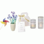 LOT DE 10 - PAPIER TRANSPARENT, (L)505 X (L)700 MM, 115 G/M2, VERT