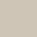 PAPIER PEINT UNI PAPIER PEINT INTISSÉ MARRON - PAPIER PEINT UNI - 10,05 X 0,53 M - BRICOFLOR