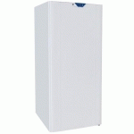 ARMOIRE RÉFRIGÉRÉE NÉGATIVE 600 L A+600N