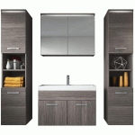 MEUBLE DE SALLE DE BAIN DE PASO XL BADPLAATS CHENE GRIS – ARMOIRE RANGEMENT - CHENE GRIS