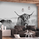 ARTGEIST - PAPIER PEINT HIGHLAND CATTLE - 150 X 105 CM - NOIR ET BLANC