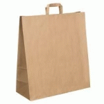 SAC KRAFT BRUN POIGNÉES PLATES 48 X 45 X 17 CM - CARTON DE 120