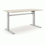 BUREAU RÉGLABLE ALUFORCE PRO 150 M - 160X80CM - ARGENT CHÊNE - ACTIFORCE