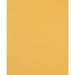 BOSCH 50 FEUILLE ABRASIVE BOIS ET PEINTURE C470 EXPERT 230X280MM - BOSCH