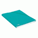 LOT DE 20 - CHEMISE BOX CARTE ALPINA OXFORD 24 X 32 CM DOS 1,5 CM VERTE
