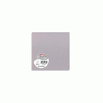 LOT DE 2 - PAQUET DE 25 CARTES SIMPLES POLLEN 135X135MM 210G/M² - GRIS KOALA