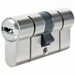 CYLINDRE P6PS PRÉSNAP DOUBLE ENTRÉE VARIÉ - EN LAITON NICKELÉ - 5 CLÉS - 45X60 ABUS