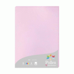 LOT DE 2 - ETUI DE 25 FEUILLES POLLEN 210X297 210G/M2 - LILAS