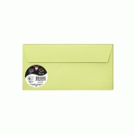 PAQUET DE 5 ENVELOPPES POLLEN 110X220MM 120G/M2 - VERT BOURGEON - LOT DE 10