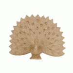 LOT DE 2 - PAON 24CM - KRAFT