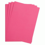 LOT DE 2 - MAYA RAME 25F A4 185G - FUCHSIA