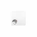PAQUET DE 25 CARTES PLIÉES POLLEN 135X135MM 210G/M² - BLANC IRISÉ