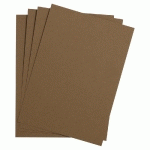 ETIVAL COLOR PAQUET 25F A3 160G - BRUN - LOT DE 2