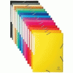 SET DE 50 CHEMISES MAXI CARTE LUSTRÉE 425GM² A4 ASSORTIES - EXACOMPTA