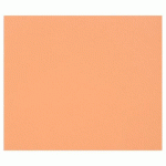 TULIPE RAME 100F A4 160G - ROUILLE