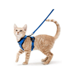 HARNAIS CHAT PETIT CHIEN LAISSE HARNAIS CHATON RÉGLABLE BLEU XS COLLIER HARNAI CHAT REFLÉCHISSANT GILET RESPIRANT POUR LAPIN, CHAT EUROPÉEN, MAINE