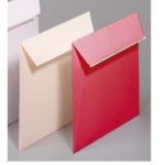 CLAIREFONTAINE PAQUET DE 20 ENVELOPPES POLLEN FORMAT 165X165 MM COLORIS VERT BOURGEON RÉFÉRENCE 55473.