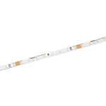 RADIUM ESSENCE 1000 RUBAN LED, 5 M, 40W, 6.500K