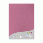 ETUI DE 50 FEUILLES POLLEN 210X297MM 160G/M2 - ROSE HORTENSIA - LOT DE 2