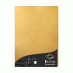 ETUI DE 50 FEUILLES POLLEN 210X297MM 120G/M2 - OR