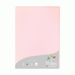 LOT DE 2 - ETUI DE 25 FEUILLES POLLEN 210X297 210G/M2 - ROSE