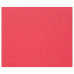 TULIPE RAME 50F A3 160G - ROUGE VIF