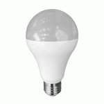 AMPOULE LED 15W FORME STANDARD E27 DIMMABLE